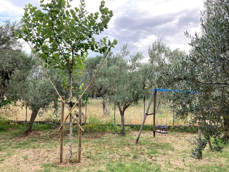 Casa Sisu-Appartamento Immerso Negli Ulivi Sant'Elia Fiumerapido Exterior photo
